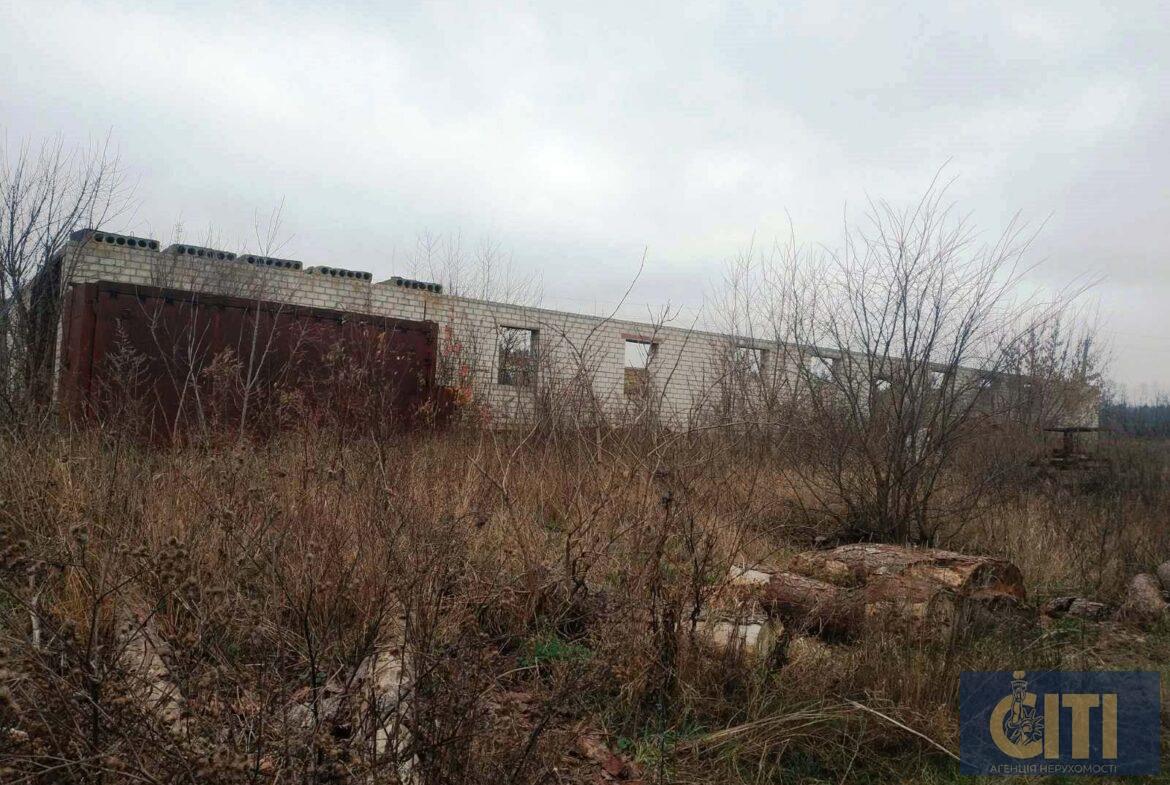 Пилорама в Андрушівському районі, 60 сот