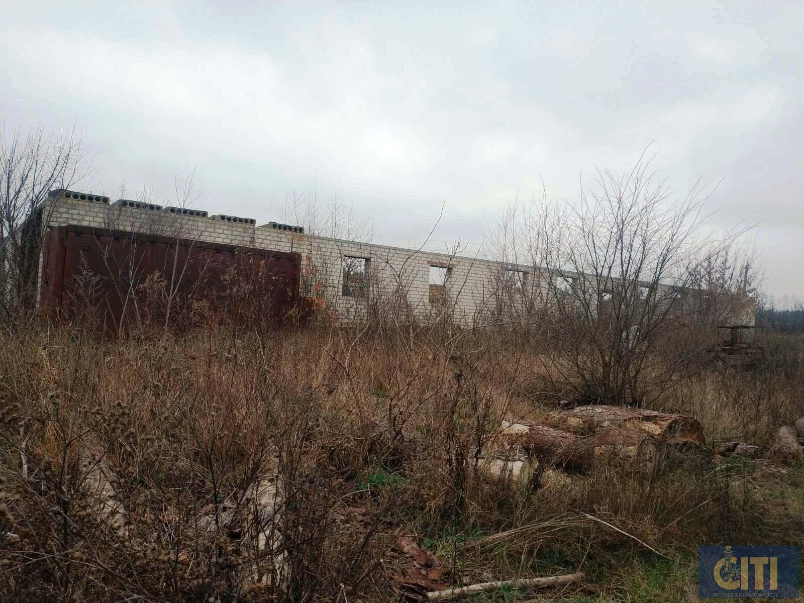 Пилорама в Андрушівському районі, 60 сот