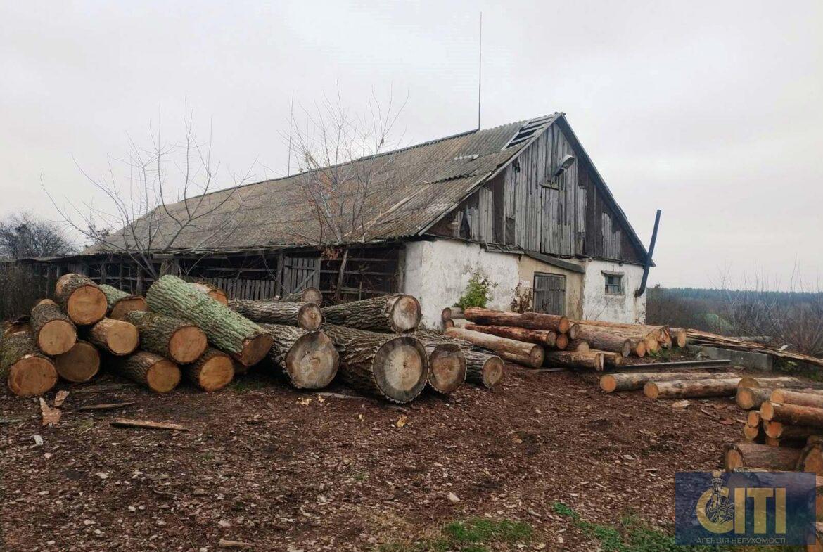 Пилорама в Андрушівському районі, 60 сот