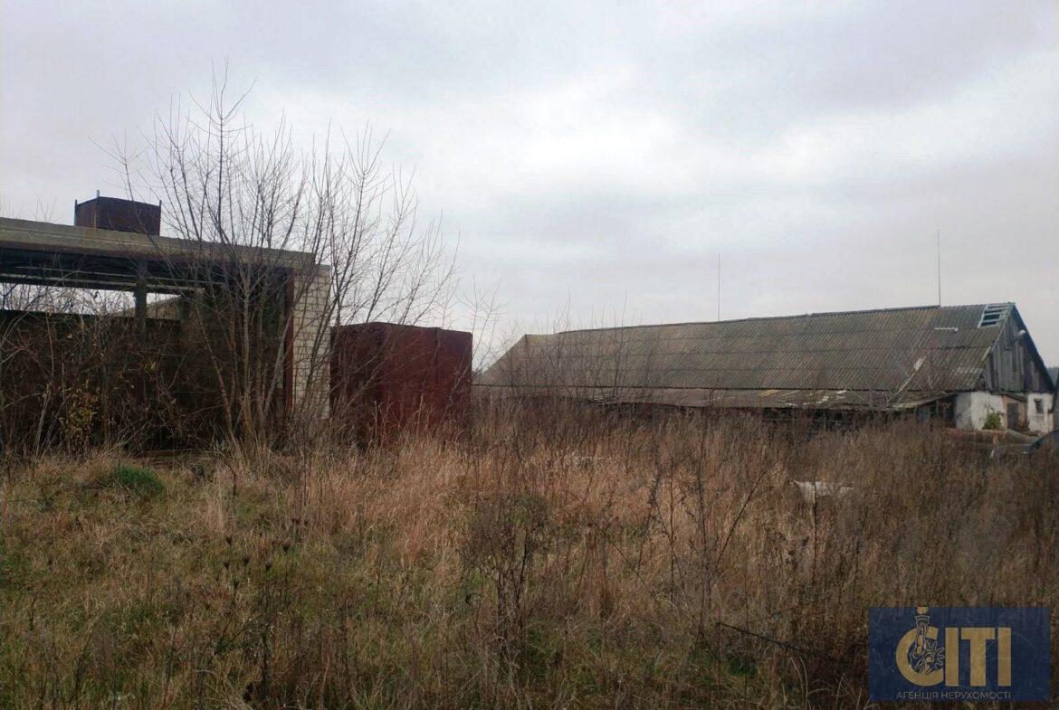 Пилорама в Андрушівському районі, 60 сот