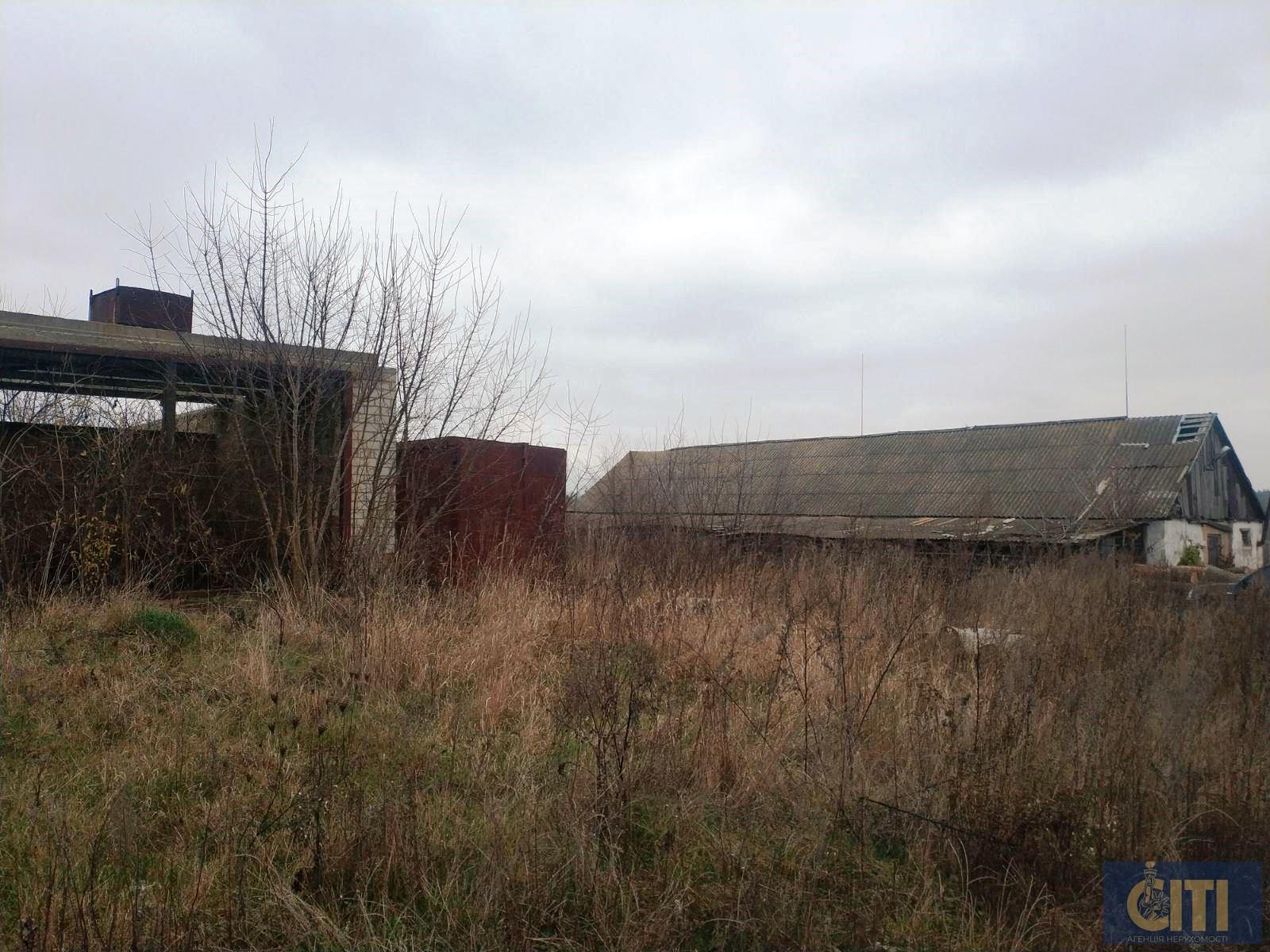 Пилорама в Андрушевском районе, 60 сот Пилорама в Андрушівському районі, 60 сот