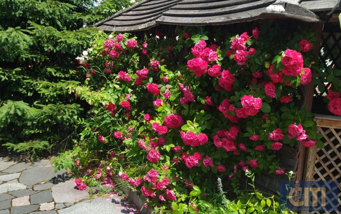 Виробничий комплекс у Станишівці, 2000 кв.м.