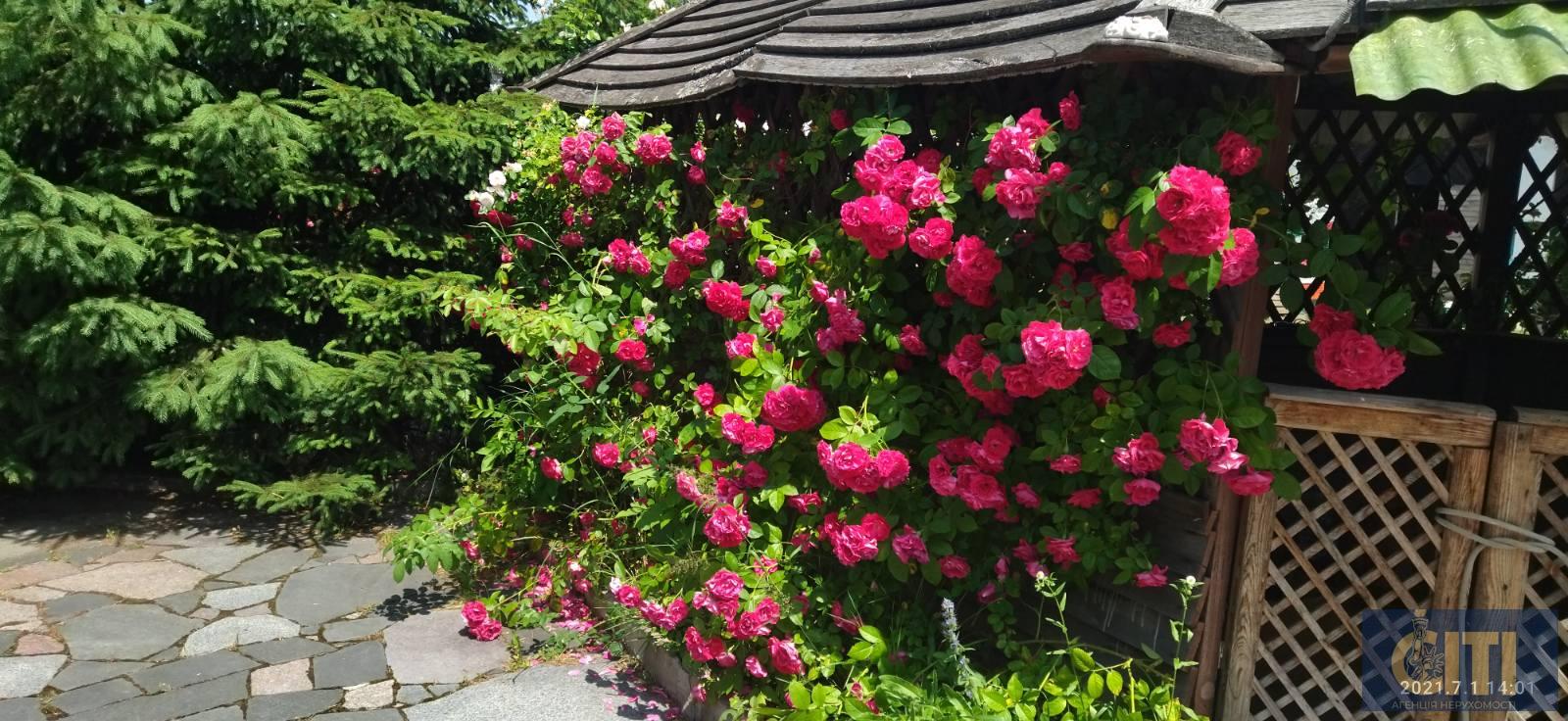 Виробничий комплекс у Станишівці, 2000 кв.м.