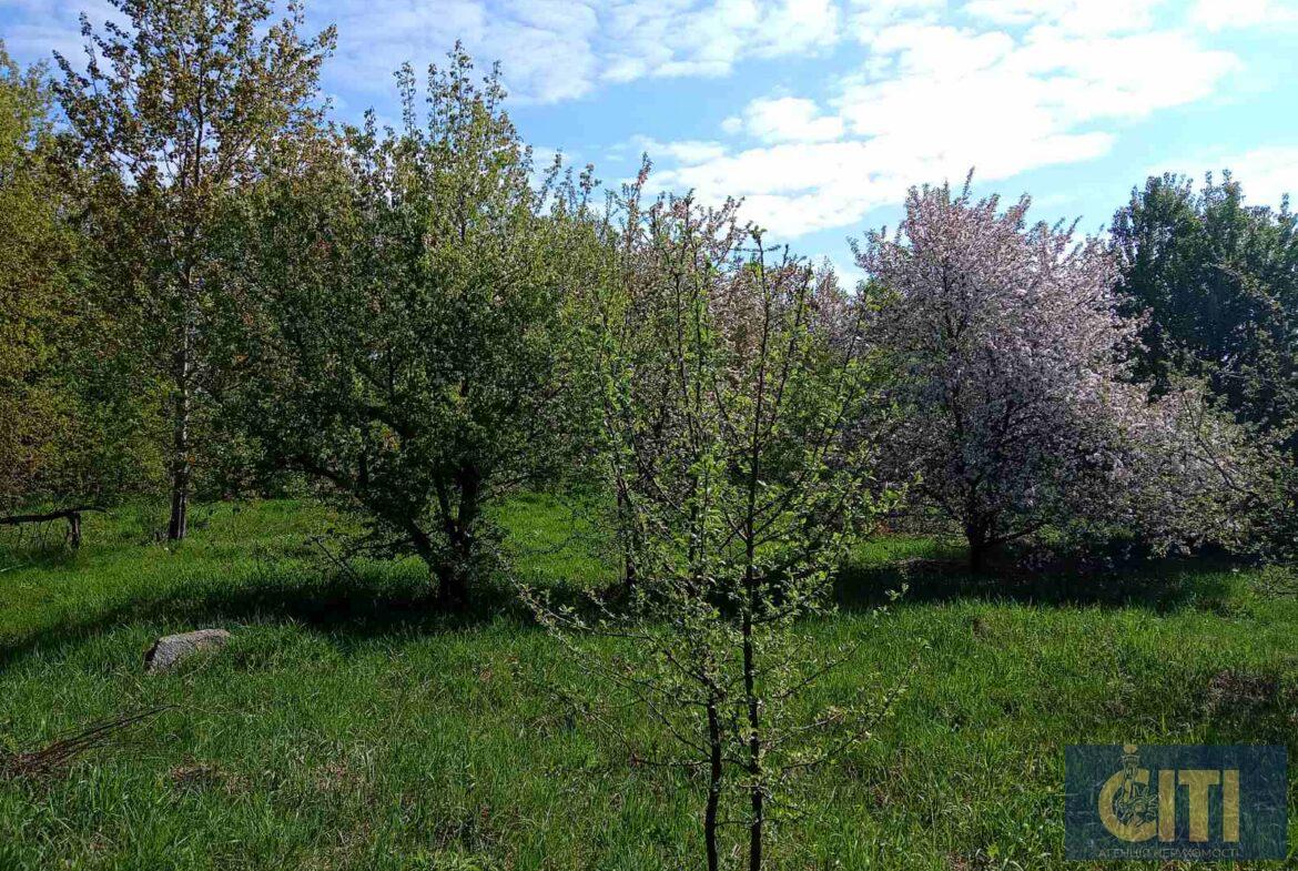 Продам будівлю хмелесушки 1400 кв.м.