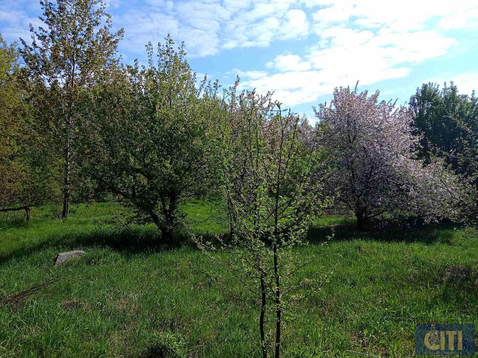 Продам будівлю хмелесушки 1400 кв.м.