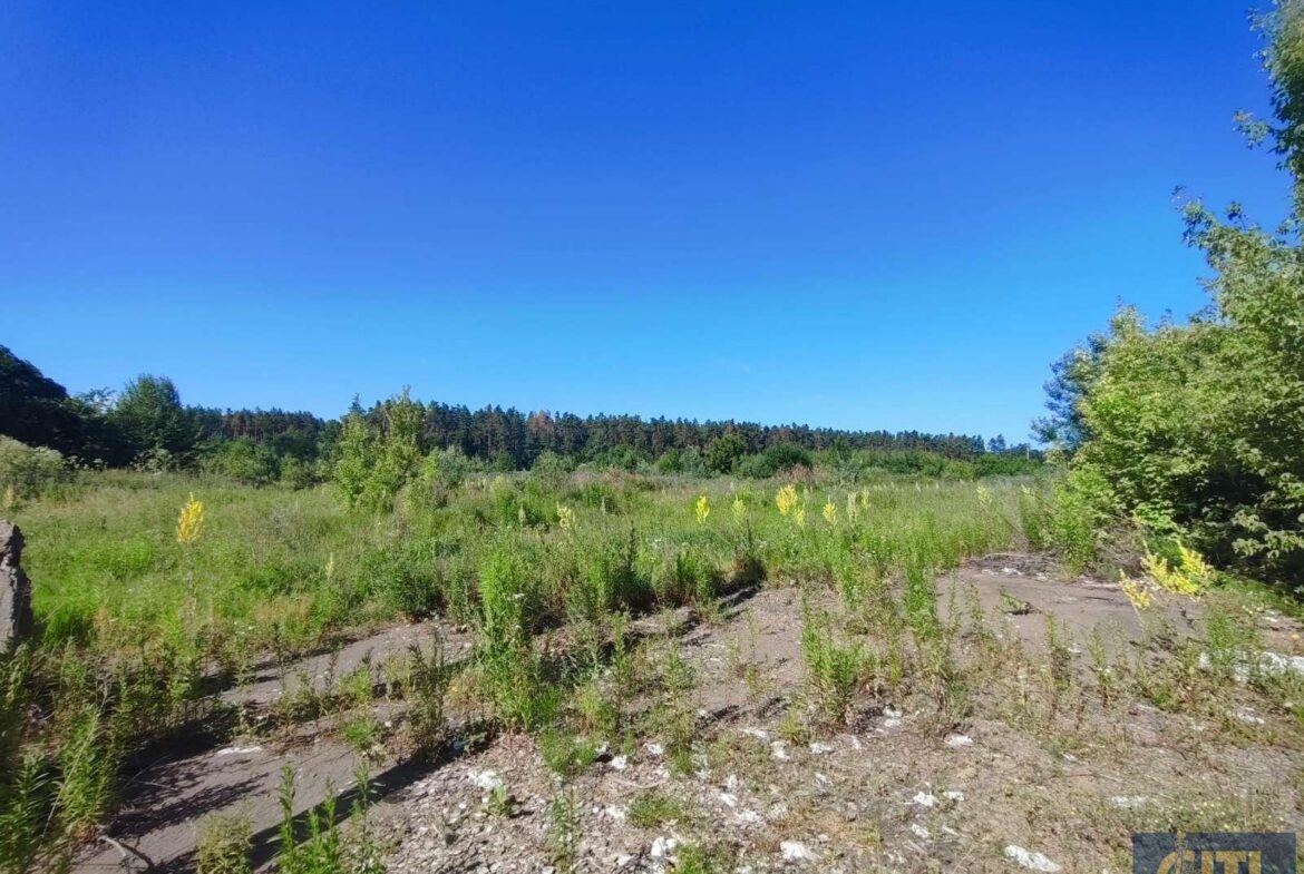 Земельна ділянка 2,7 Га + приміщення 800 кв.м. у Станишівці