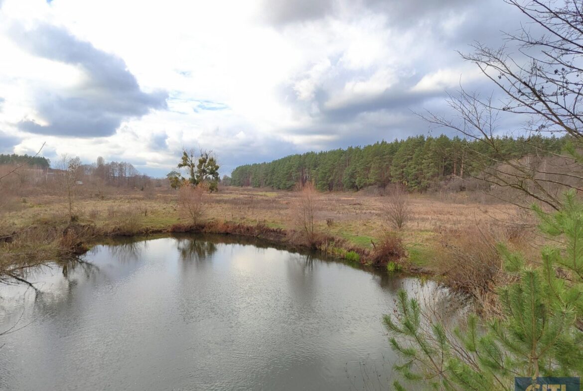 Ділянка на березі річки Коденка в Пряжево, 165 сот
