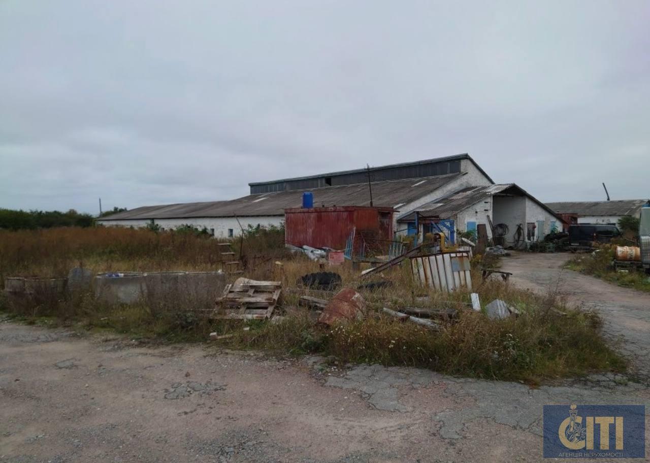 photo_6_2025-11-28_19-08-27 Продаються виробничо-складські приміщення (база, цехи),Глибочиця