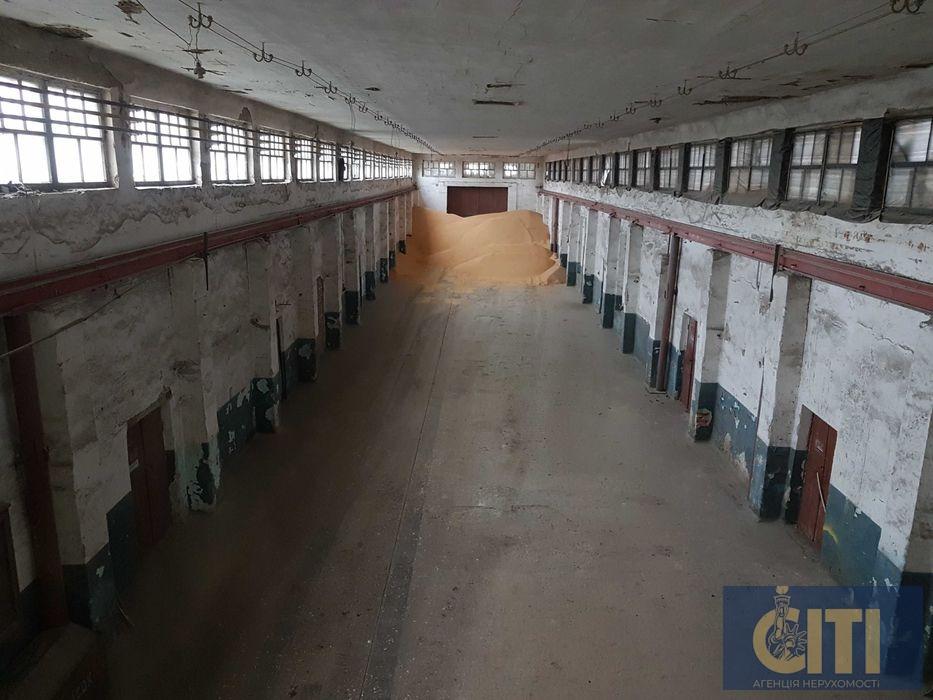 Продаж виробничо-складського комплексу в Житомирській обл. Бердичівський р-н, 30 км до Житомира.